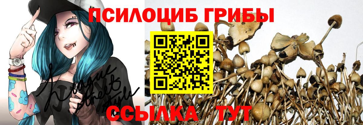 Псилоцибиновые грибы мицелий Мценск